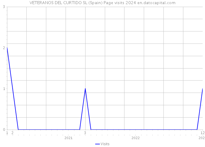 VETERANOS DEL CURTIDO SL (Spain) Page visits 2024 