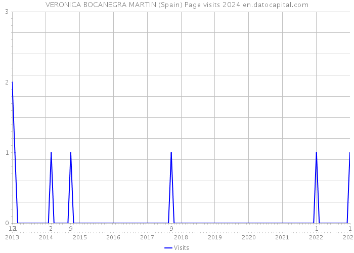 VERONICA BOCANEGRA MARTIN (Spain) Page visits 2024 