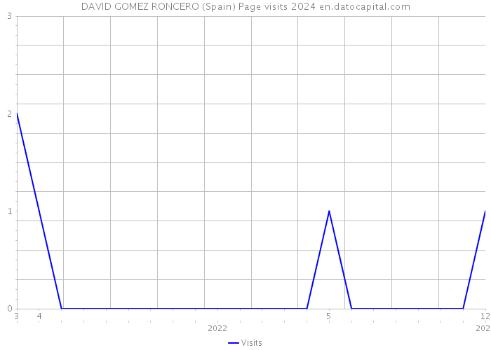 DAVID GOMEZ RONCERO (Spain) Page visits 2024 