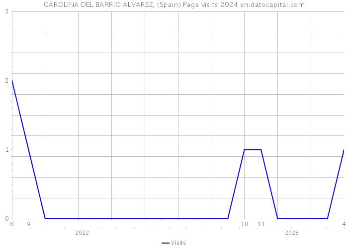 CAROLINA DEL BARRIO ALVAREZ, (Spain) Page visits 2024 