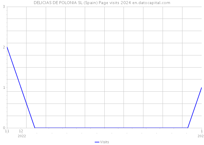 DELICIAS DE POLONIA SL (Spain) Page visits 2024 