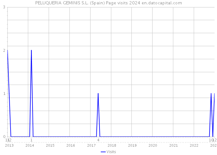 PELUQUERIA GEMINIS S.L. (Spain) Page visits 2024 