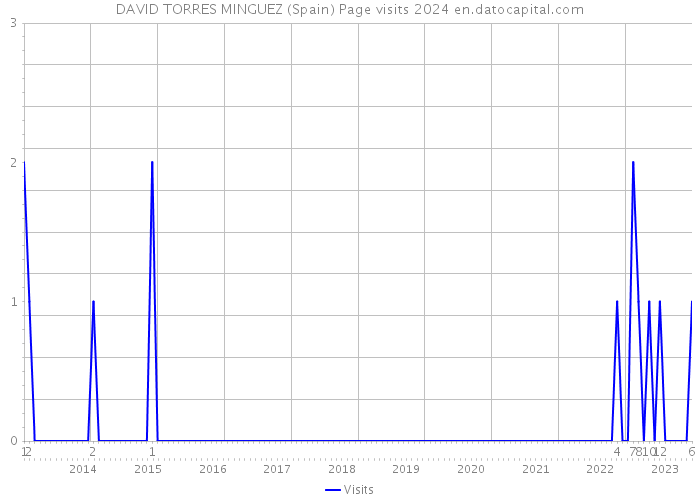 DAVID TORRES MINGUEZ (Spain) Page visits 2024 