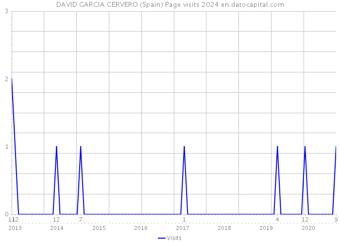 DAVID GARCIA CERVERO (Spain) Page visits 2024 