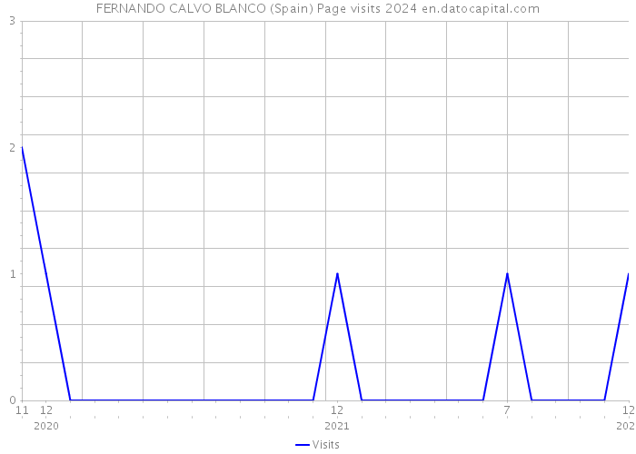 FERNANDO CALVO BLANCO (Spain) Page visits 2024 