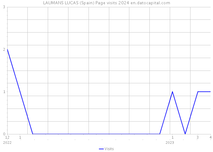 LAUMANS LUCAS (Spain) Page visits 2024 