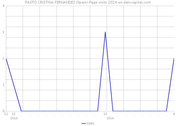 PASTO CRISTINA FERNANDEZ (Spain) Page visits 2024 