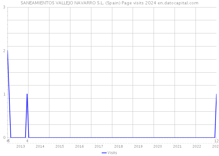 SANEAMIENTOS VALLEJO NAVARRO S.L. (Spain) Page visits 2024 