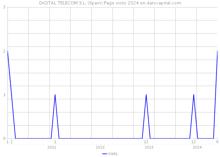 DIGITAL TELECOM S.L. (Spain) Page visits 2024 
