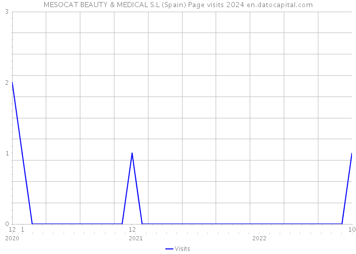 MESOCAT BEAUTY & MEDICAL S.L (Spain) Page visits 2024 