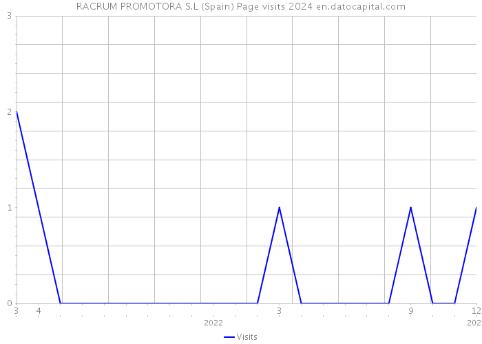 RACRUM PROMOTORA S.L (Spain) Page visits 2024 