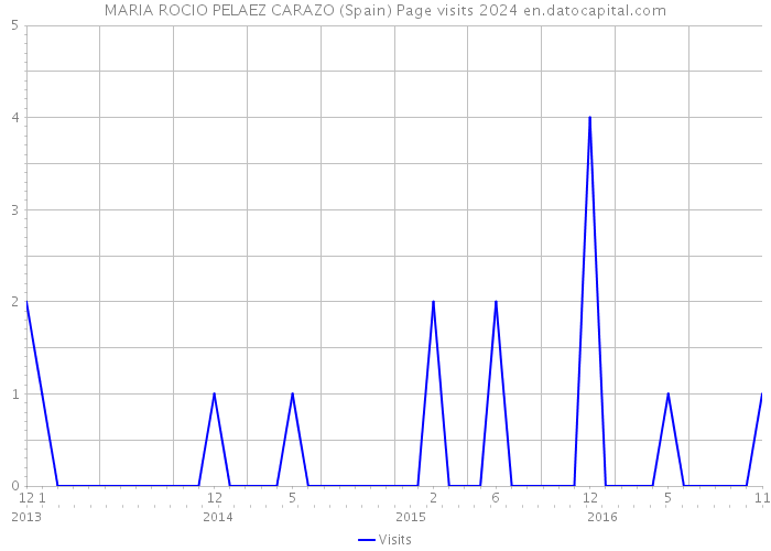 MARIA ROCIO PELAEZ CARAZO (Spain) Page visits 2024 