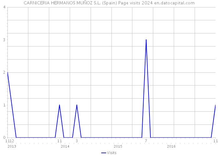 CARNICERIA HERMANOS MUÑOZ S.L. (Spain) Page visits 2024 