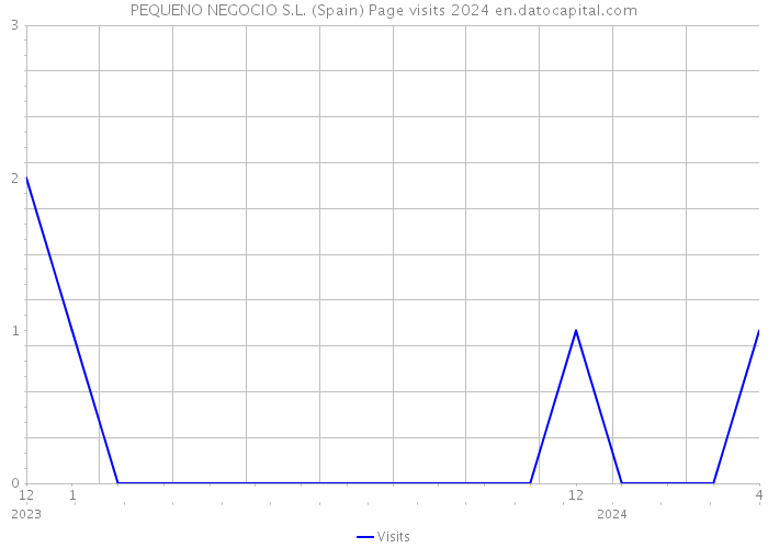 PEQUENO NEGOCIO S.L. (Spain) Page visits 2024 
