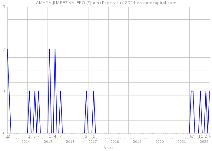 AMAYA JUAREZ VALERO (Spain) Page visits 2024 