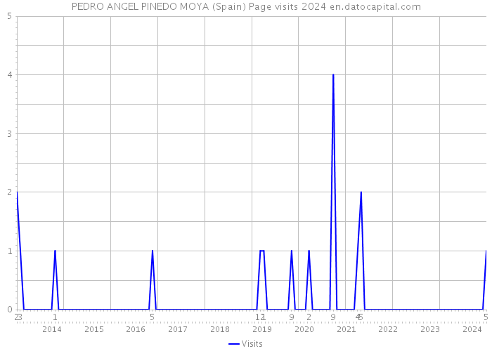 PEDRO ANGEL PINEDO MOYA (Spain) Page visits 2024 