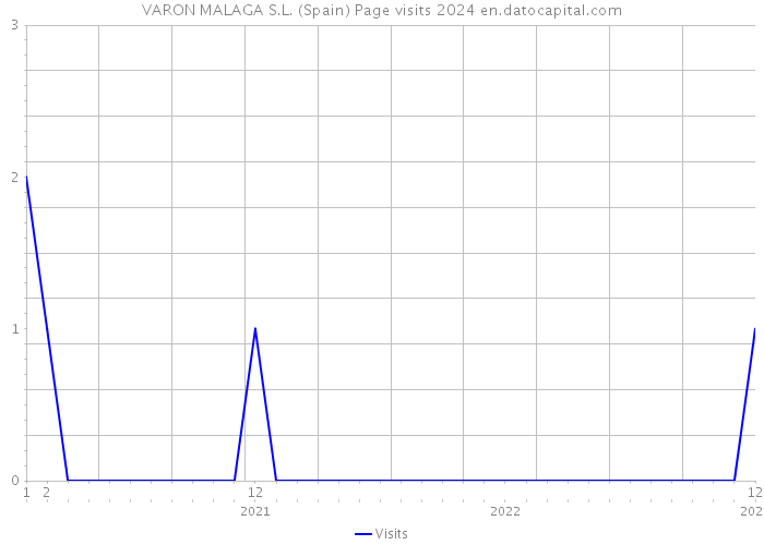 VARON MALAGA S.L. (Spain) Page visits 2024 