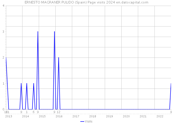 ERNESTO MAGRANER PULIDO (Spain) Page visits 2024 