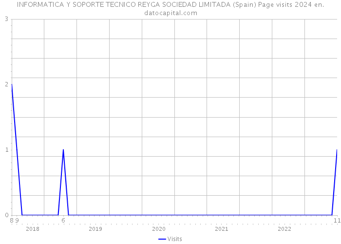 INFORMATICA Y SOPORTE TECNICO REYGA SOCIEDAD LIMITADA (Spain) Page visits 2024 