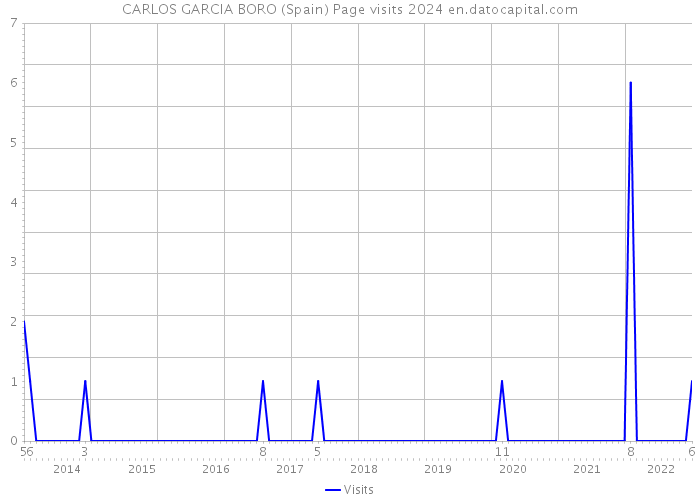 CARLOS GARCIA BORO (Spain) Page visits 2024 