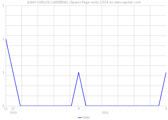 JUAN CARLOS CARDENAL (Spain) Page visits 2024 