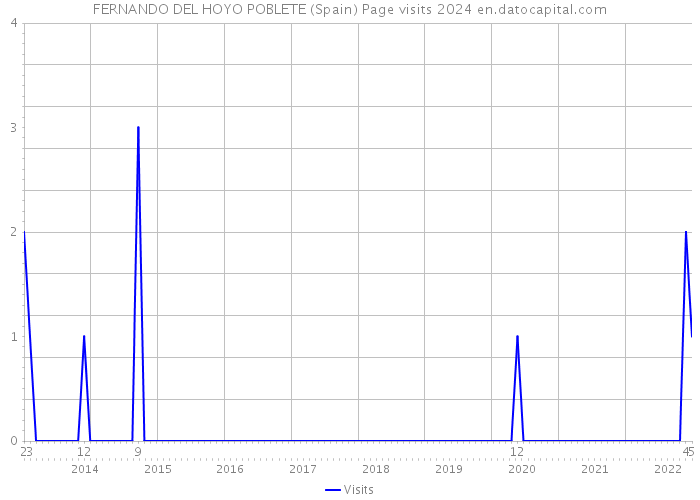 FERNANDO DEL HOYO POBLETE (Spain) Page visits 2024 