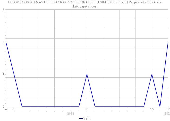 EEKOX ECOSISTEMAS DE ESPACIOS PROFESIONALES FLEXIBLES SL (Spain) Page visits 2024 