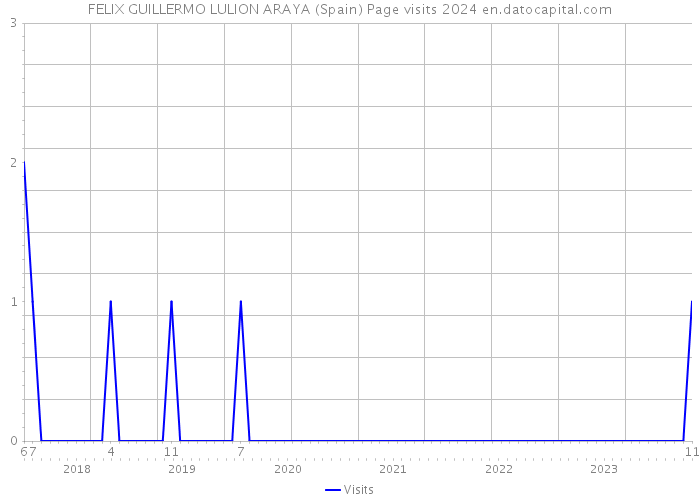 FELIX GUILLERMO LULION ARAYA (Spain) Page visits 2024 