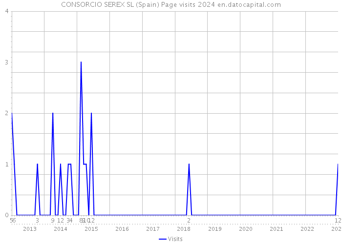 CONSORCIO SEREX SL (Spain) Page visits 2024 