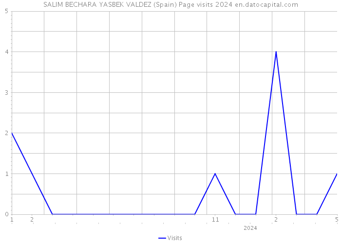 SALIM BECHARA YASBEK VALDEZ (Spain) Page visits 2024 