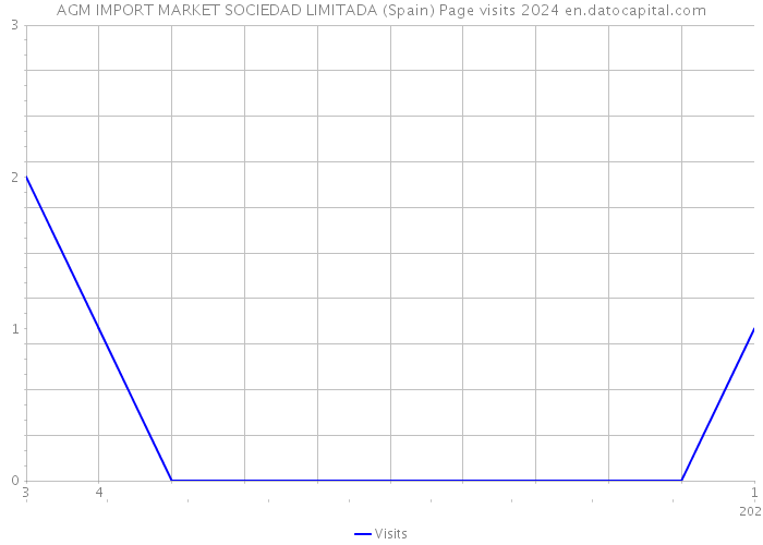 AGM IMPORT MARKET SOCIEDAD LIMITADA (Spain) Page visits 2024 