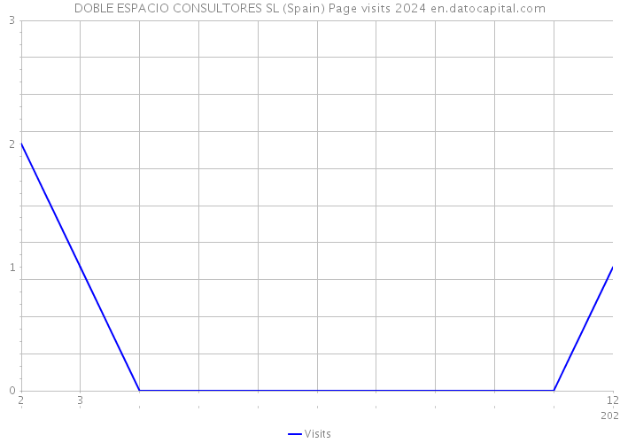 DOBLE ESPACIO CONSULTORES SL (Spain) Page visits 2024 