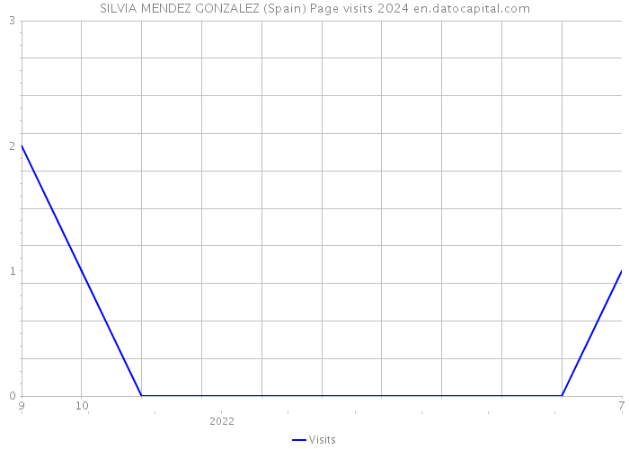 SILVIA MENDEZ GONZALEZ (Spain) Page visits 2024 