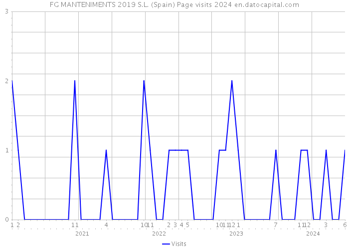 FG MANTENIMENTS 2019 S.L. (Spain) Page visits 2024 