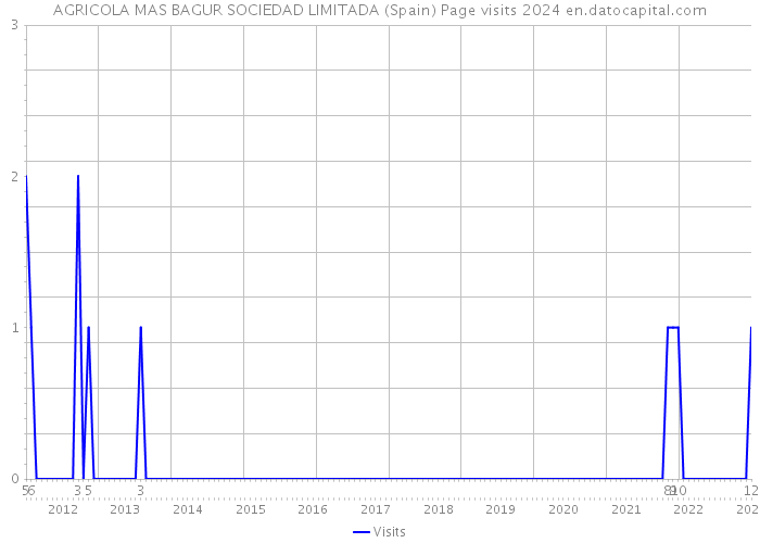 AGRICOLA MAS BAGUR SOCIEDAD LIMITADA (Spain) Page visits 2024 