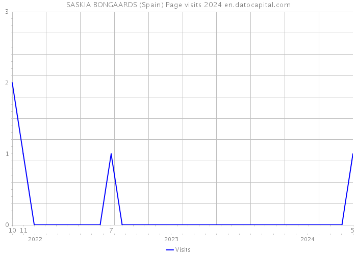SASKIA BONGAARDS (Spain) Page visits 2024 
