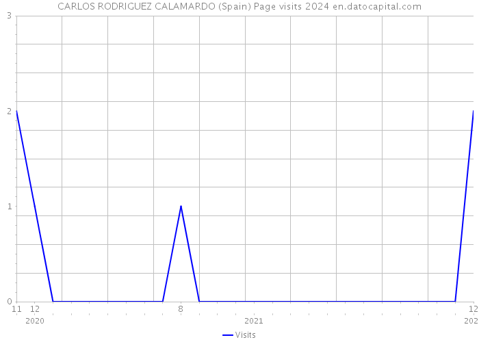 CARLOS RODRIGUEZ CALAMARDO (Spain) Page visits 2024 