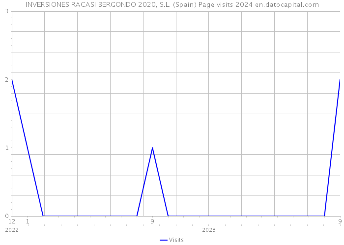 INVERSIONES RACASI BERGONDO 2020, S.L. (Spain) Page visits 2024 