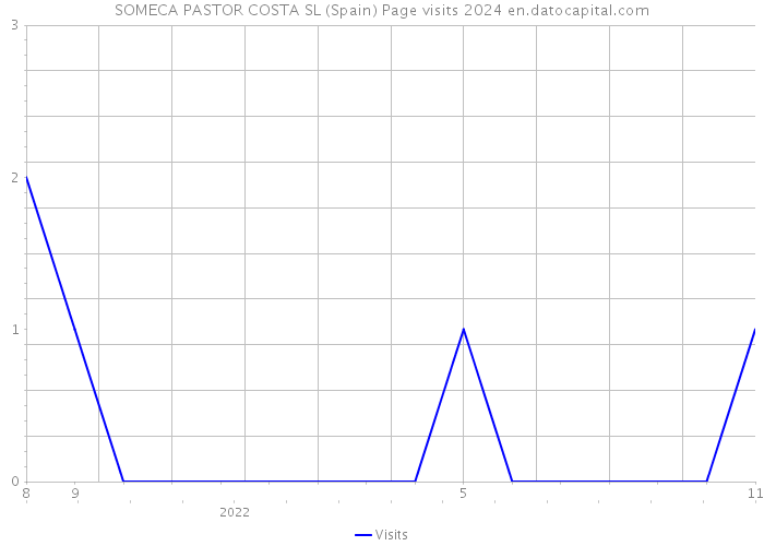 SOMECA PASTOR COSTA SL (Spain) Page visits 2024 