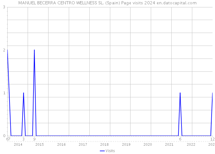 MANUEL BECERRA CENTRO WELLNESS SL. (Spain) Page visits 2024 