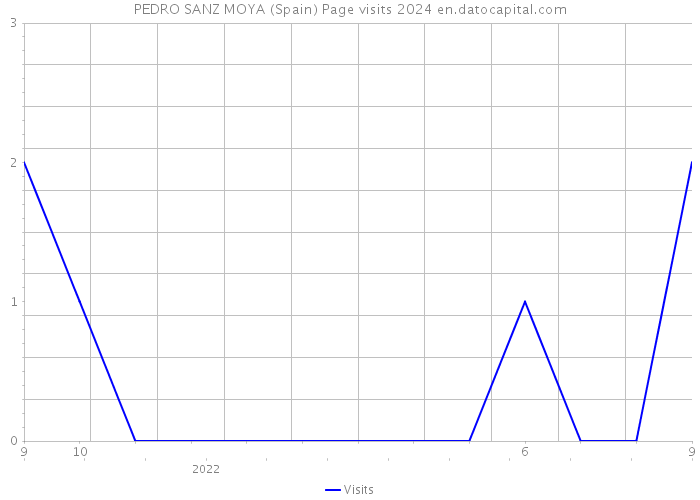 PEDRO SANZ MOYA (Spain) Page visits 2024 