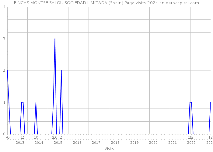 FINCAS MONTSE SALOU SOCIEDAD LIMITADA (Spain) Page visits 2024 
