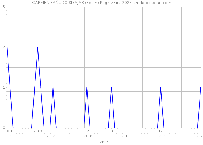 CARMEN SAÑUDO SIBAJAS (Spain) Page visits 2024 