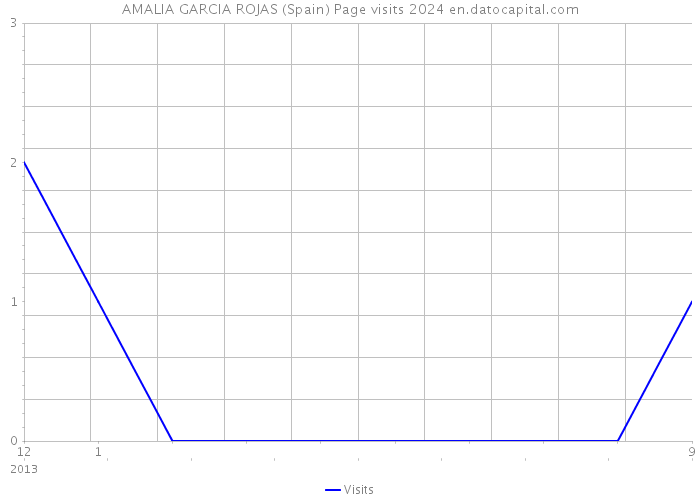AMALIA GARCIA ROJAS (Spain) Page visits 2024 