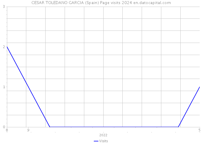 CESAR TOLEDANO GARCIA (Spain) Page visits 2024 