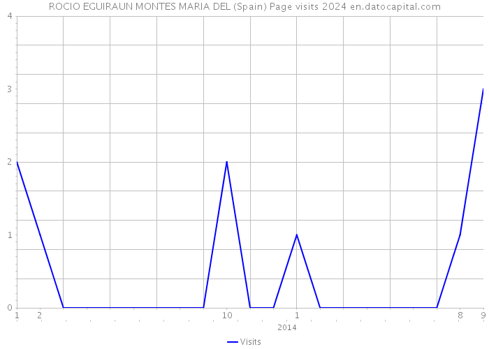 ROCIO EGUIRAUN MONTES MARIA DEL (Spain) Page visits 2024 