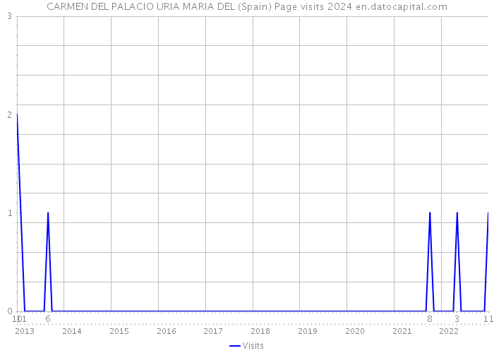 CARMEN DEL PALACIO URIA MARIA DEL (Spain) Page visits 2024 