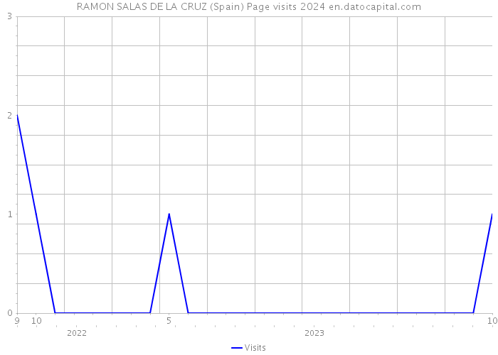 RAMON SALAS DE LA CRUZ (Spain) Page visits 2024 