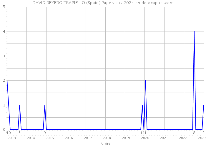 DAVID REYERO TRAPIELLO (Spain) Page visits 2024 