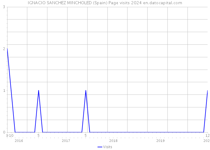 IGNACIO SANCHEZ MINCHOLED (Spain) Page visits 2024 